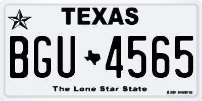 TX license plate BGU4565
