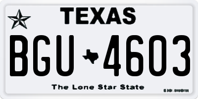 TX license plate BGU4603