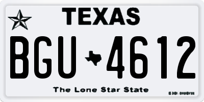 TX license plate BGU4612