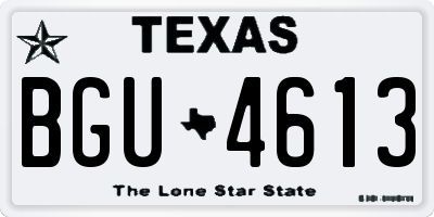 TX license plate BGU4613