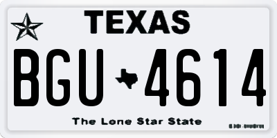 TX license plate BGU4614