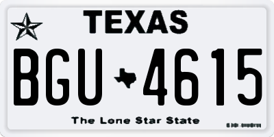 TX license plate BGU4615