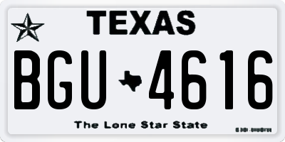 TX license plate BGU4616