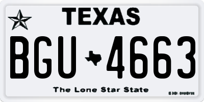 TX license plate BGU4663