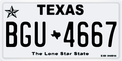 TX license plate BGU4667