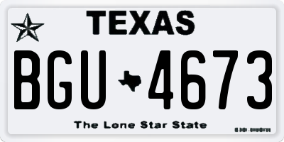 TX license plate BGU4673