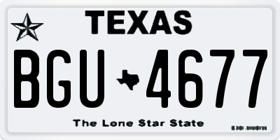 TX license plate BGU4677