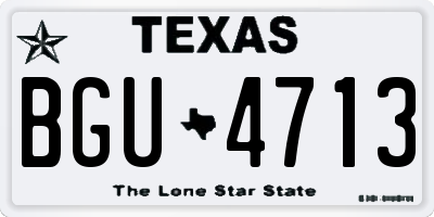 TX license plate BGU4713