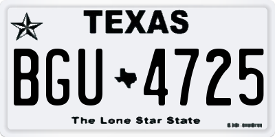 TX license plate BGU4725