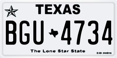 TX license plate BGU4734