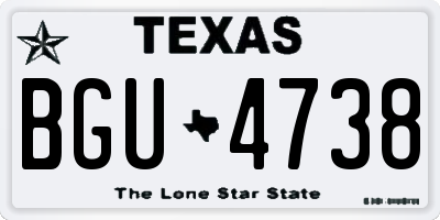 TX license plate BGU4738