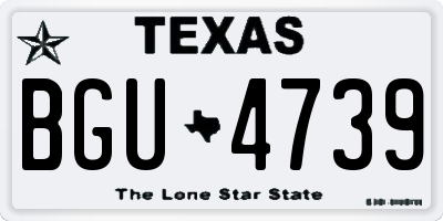TX license plate BGU4739