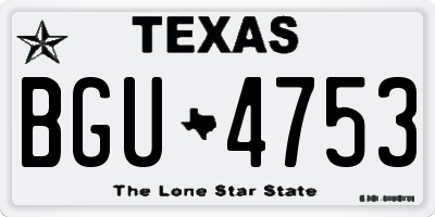 TX license plate BGU4753