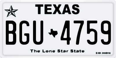 TX license plate BGU4759