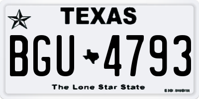 TX license plate BGU4793