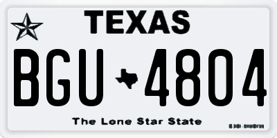 TX license plate BGU4804
