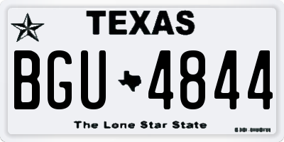 TX license plate BGU4844