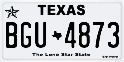TX license plate BGU4873