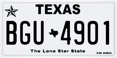 TX license plate BGU4901