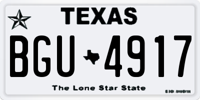 TX license plate BGU4917