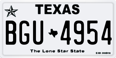 TX license plate BGU4954