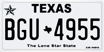 TX license plate BGU4955