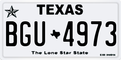 TX license plate BGU4973