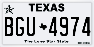 TX license plate BGU4974