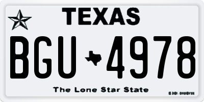 TX license plate BGU4978