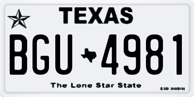 TX license plate BGU4981