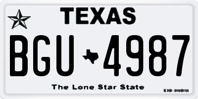 TX license plate BGU4987
