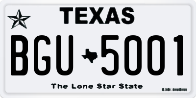 TX license plate BGU5001