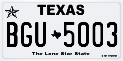 TX license plate BGU5003