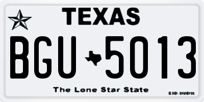 TX license plate BGU5013