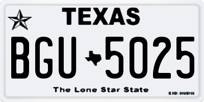 TX license plate BGU5025
