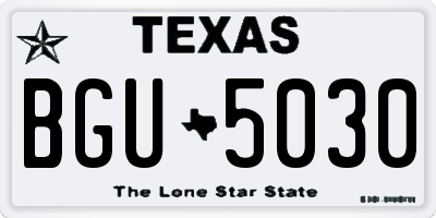 TX license plate BGU5030
