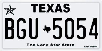 TX license plate BGU5054
