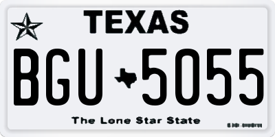 TX license plate BGU5055