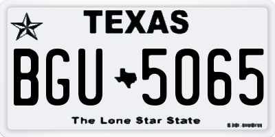 TX license plate BGU5065