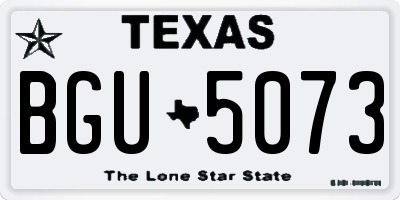 TX license plate BGU5073