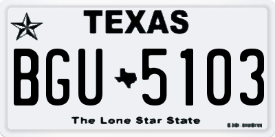 TX license plate BGU5103