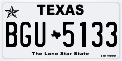 TX license plate BGU5133
