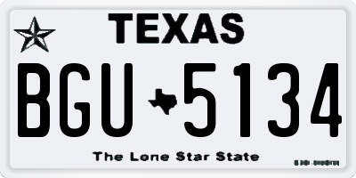 TX license plate BGU5134