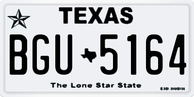 TX license plate BGU5164