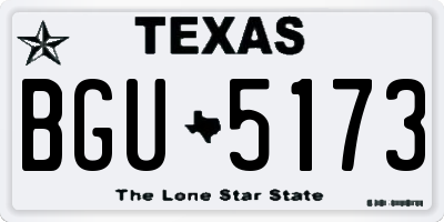 TX license plate BGU5173
