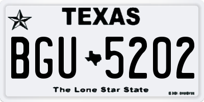TX license plate BGU5202