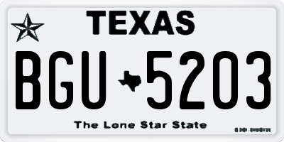 TX license plate BGU5203