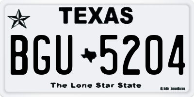 TX license plate BGU5204