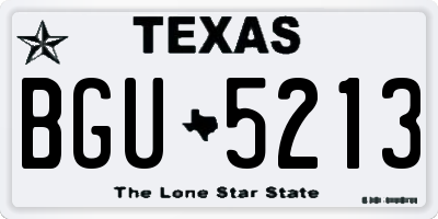 TX license plate BGU5213