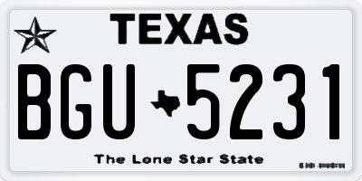 TX license plate BGU5231